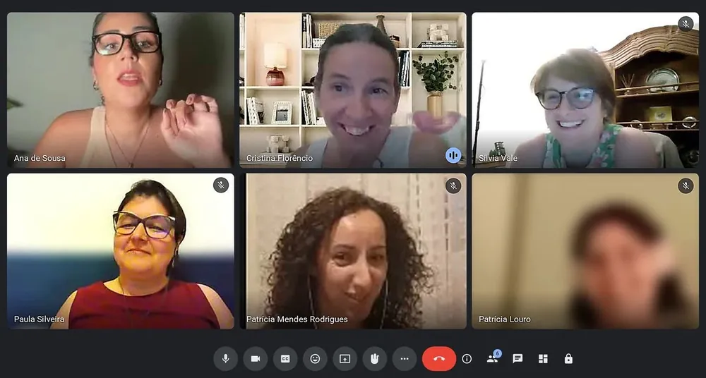 Sessão em grupo da mentoria por videochamada, com a Ana e cinco participantes